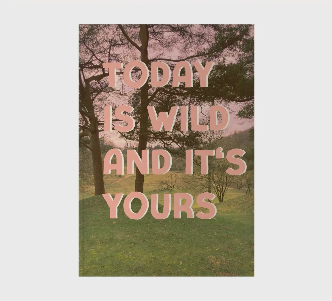 Today is wild notebook by Nordic Vibes