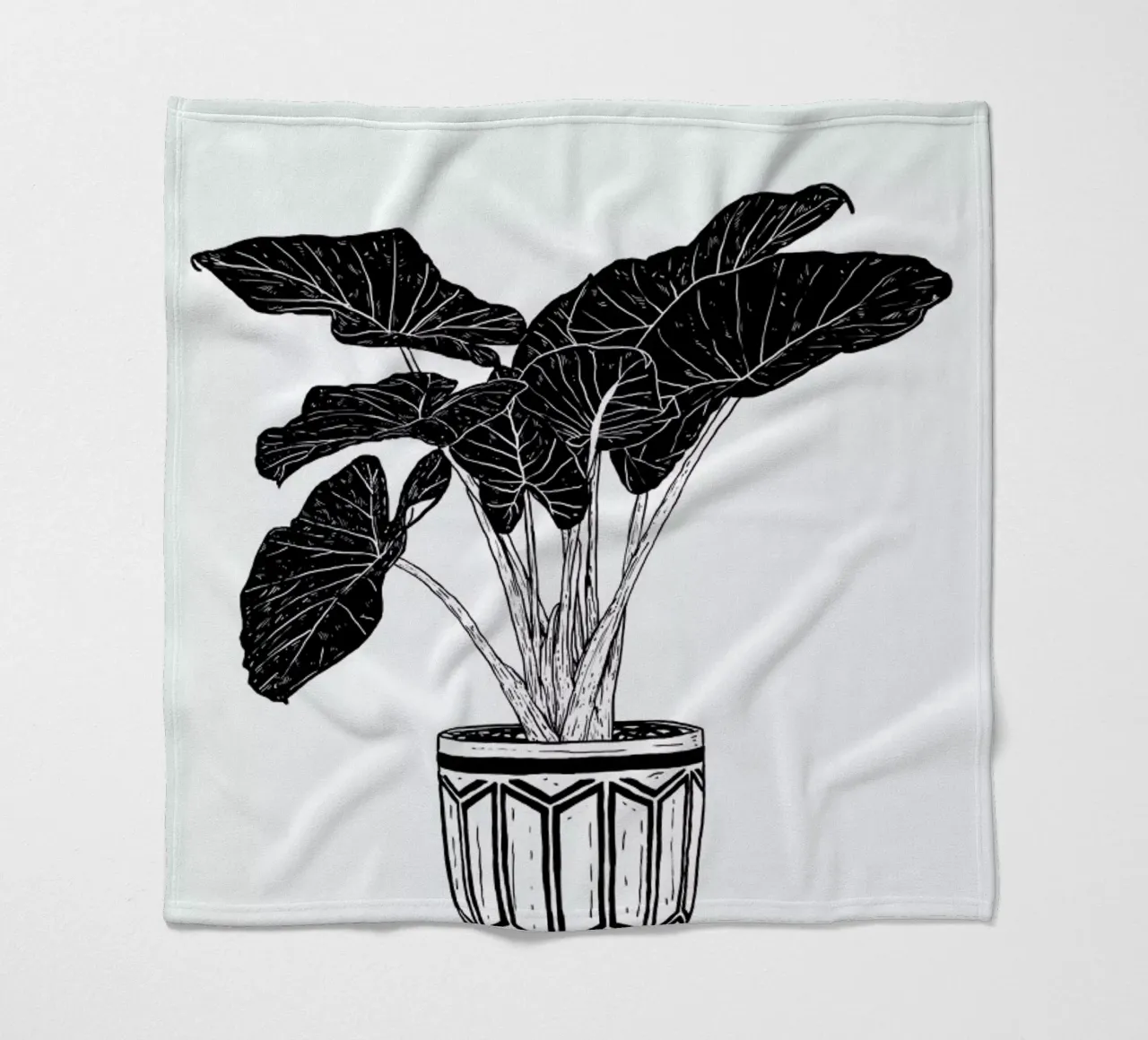 Alocasia coperta in pile da Nick Cocozza