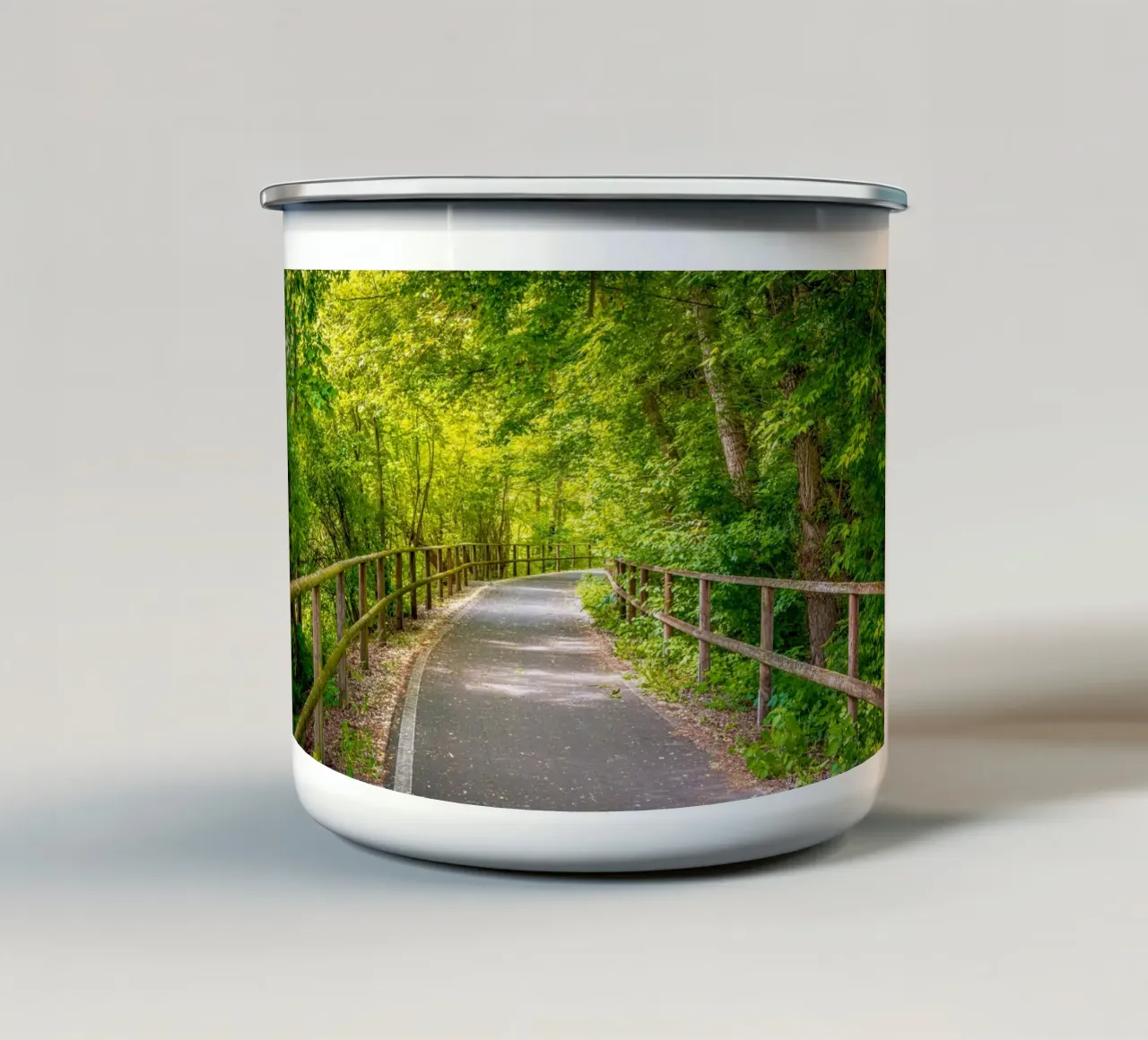 Radweg durch den Mischwald im Frühling auf der Rabeninsel tazza in smalto da Marcus Beckert | Fotografie