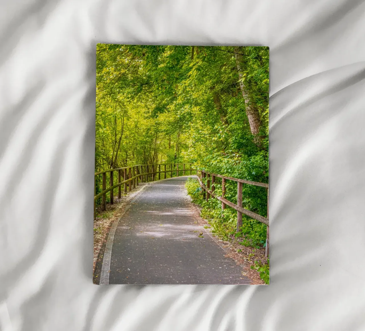 Radweg durch den Mischwald im Frühling auf der Rabeninsel notebook by Marcus Beckert | Fotografie