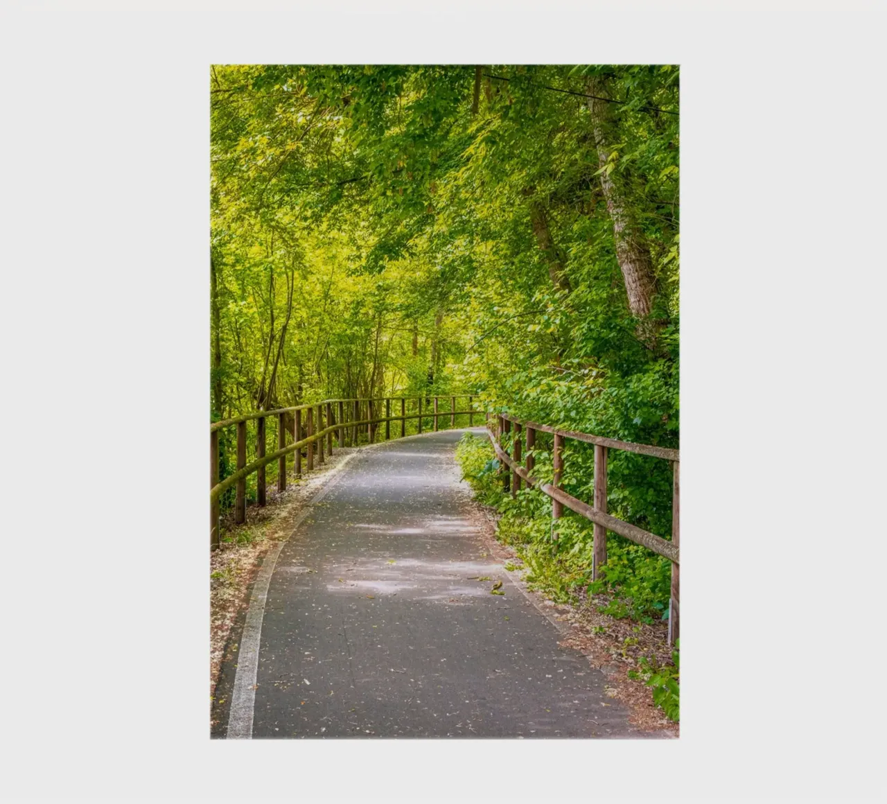 Radweg durch den Mischwald im Frühling auf der Rabeninsel notebook by Marcus Beckert | Fotografie