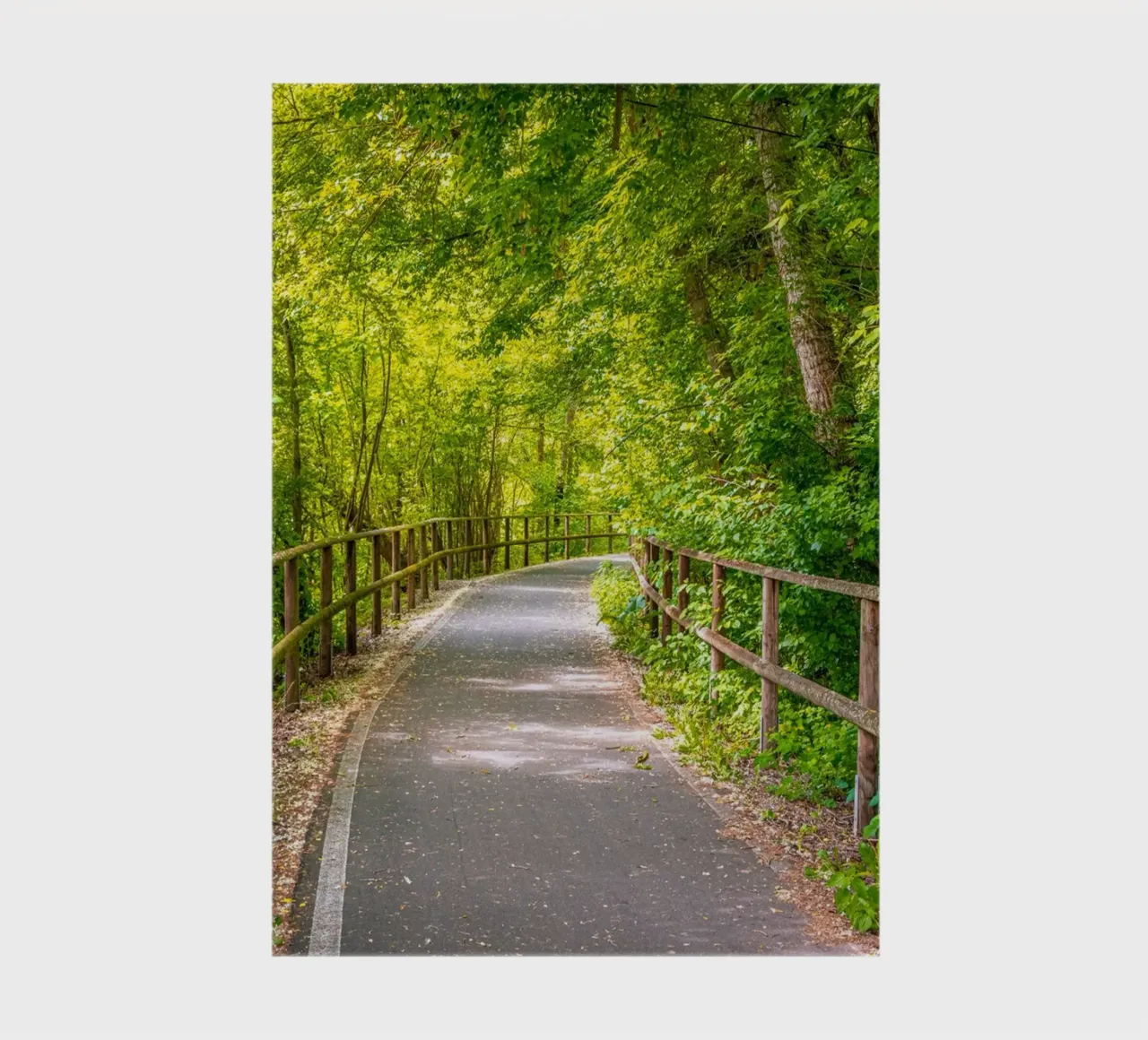 Radweg durch den Mischwald im Frühling auf der Rabeninsel notebook by Marcus Beckert | Fotografie