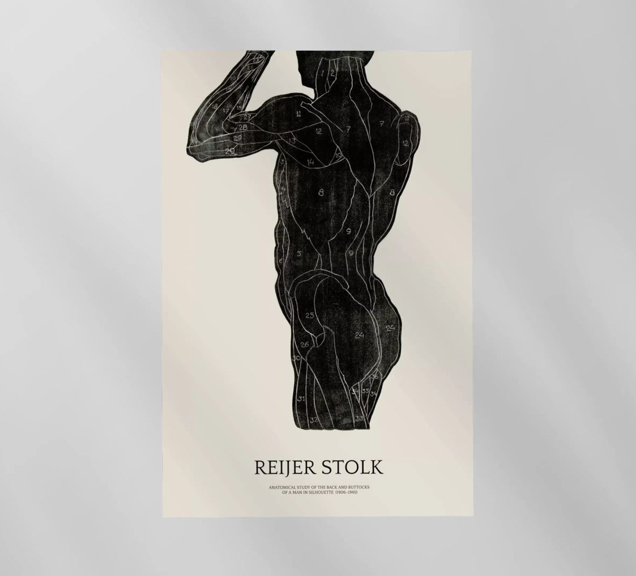 Stolk - Anatomical Study of the Back and Buttocks of a Man pellicola backlit da Vintage by JUNIQE
