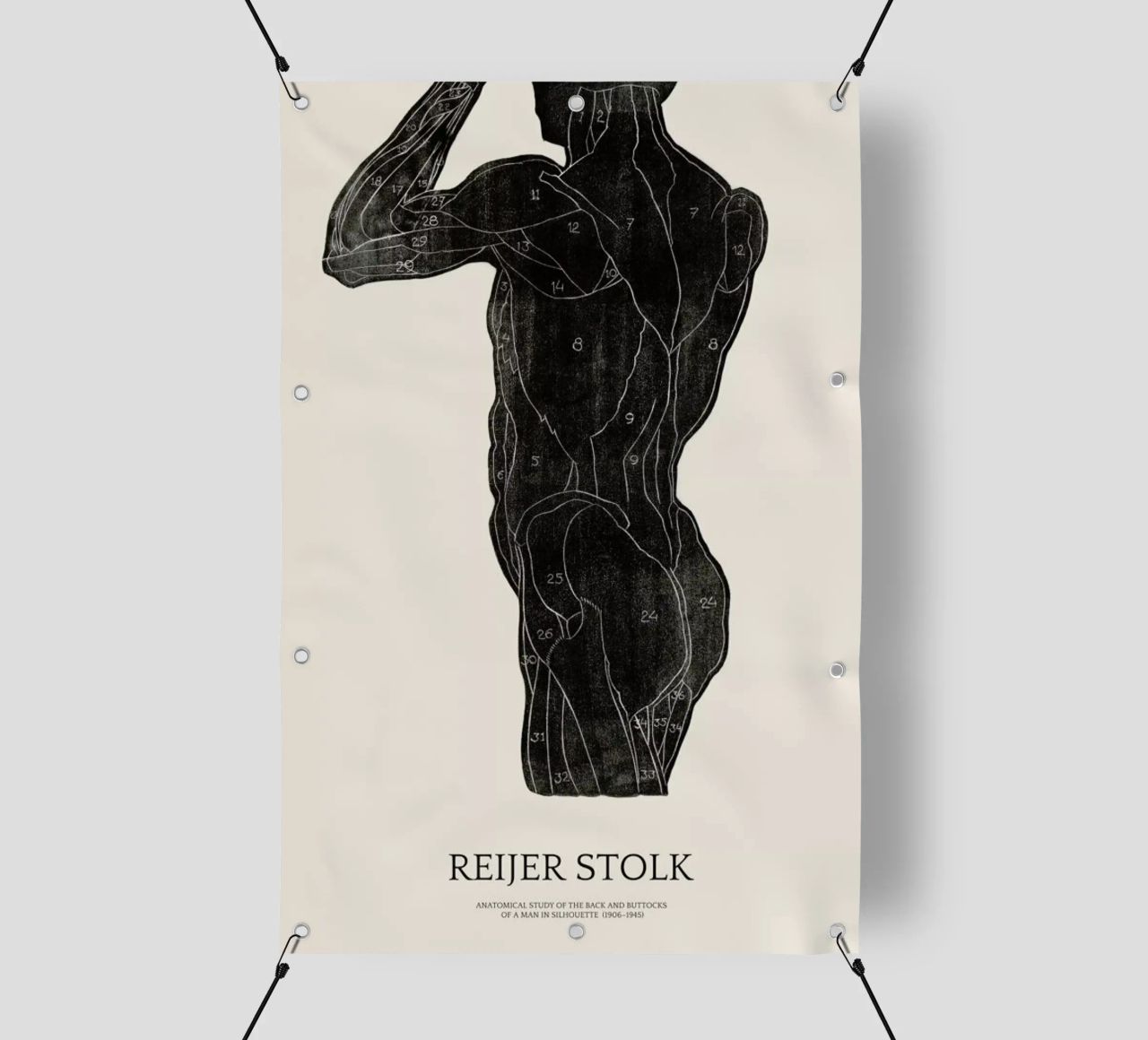 Stolk - Anatomical Study of the Back and Buttocks of a Man telo in pvc da Vintage by JUNIQE