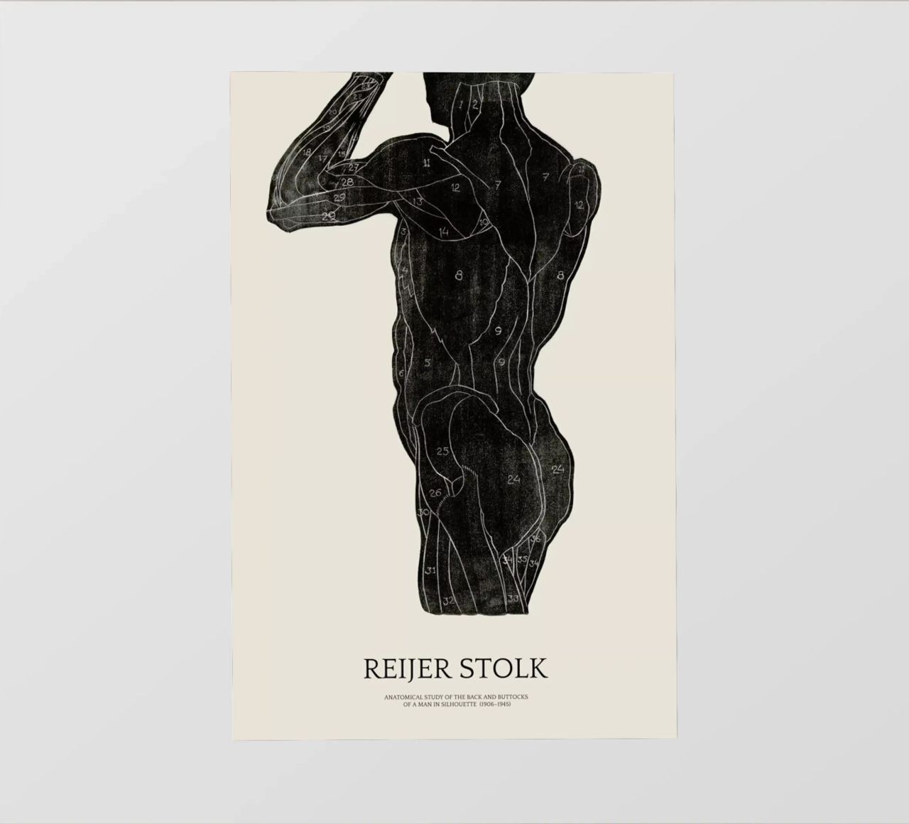 Stolk - Anatomical Study of the Back and Buttocks of a Man telo in pvc da Vintage by JUNIQE