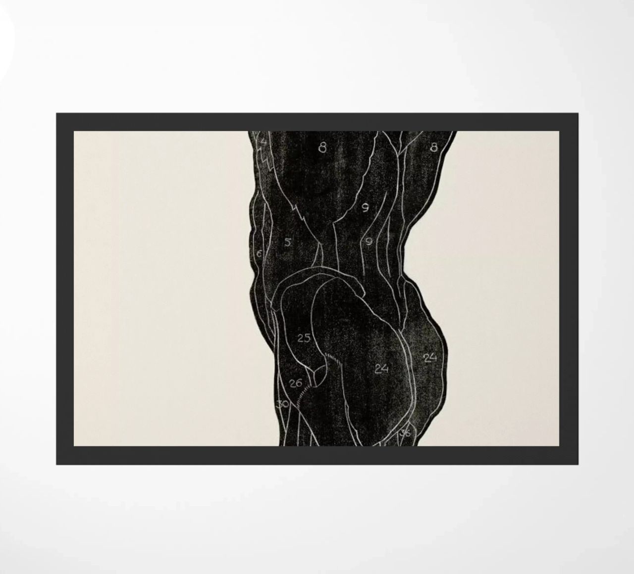 Stolk - Anatomical Study of the Back and Buttocks of a Man zerbino da Vintage by JUNIQE