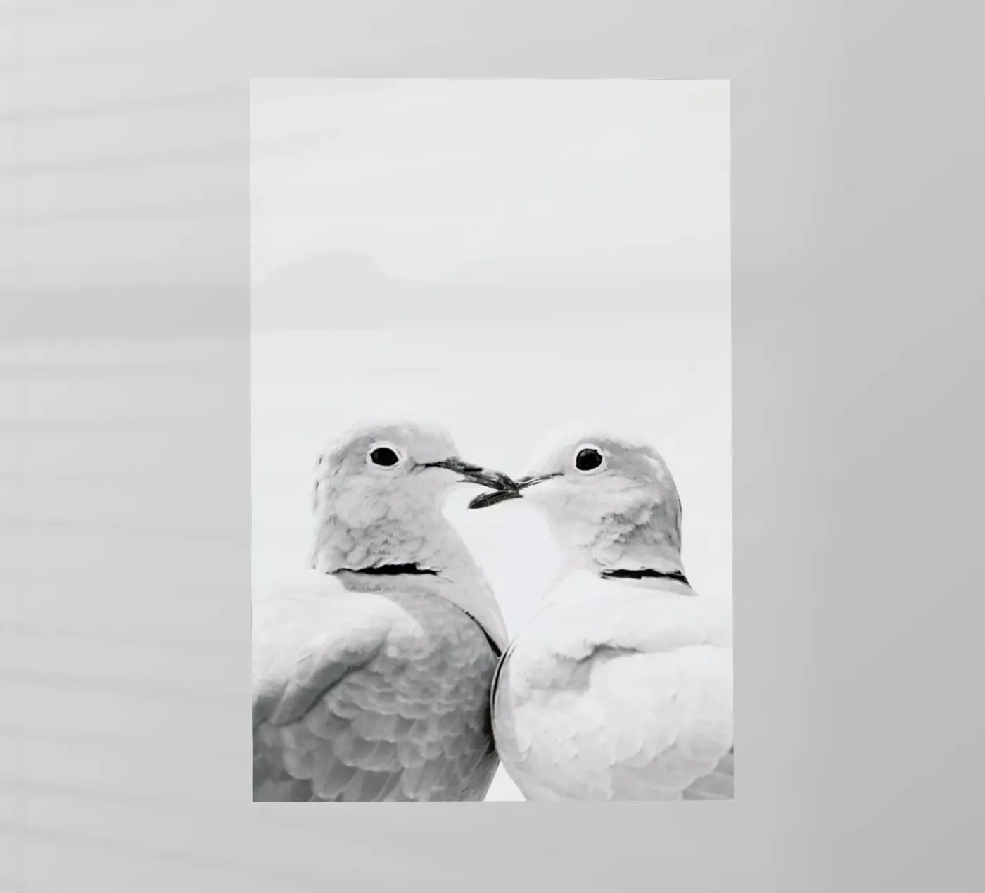 Lovers pellicola backlit da Victoria Frost