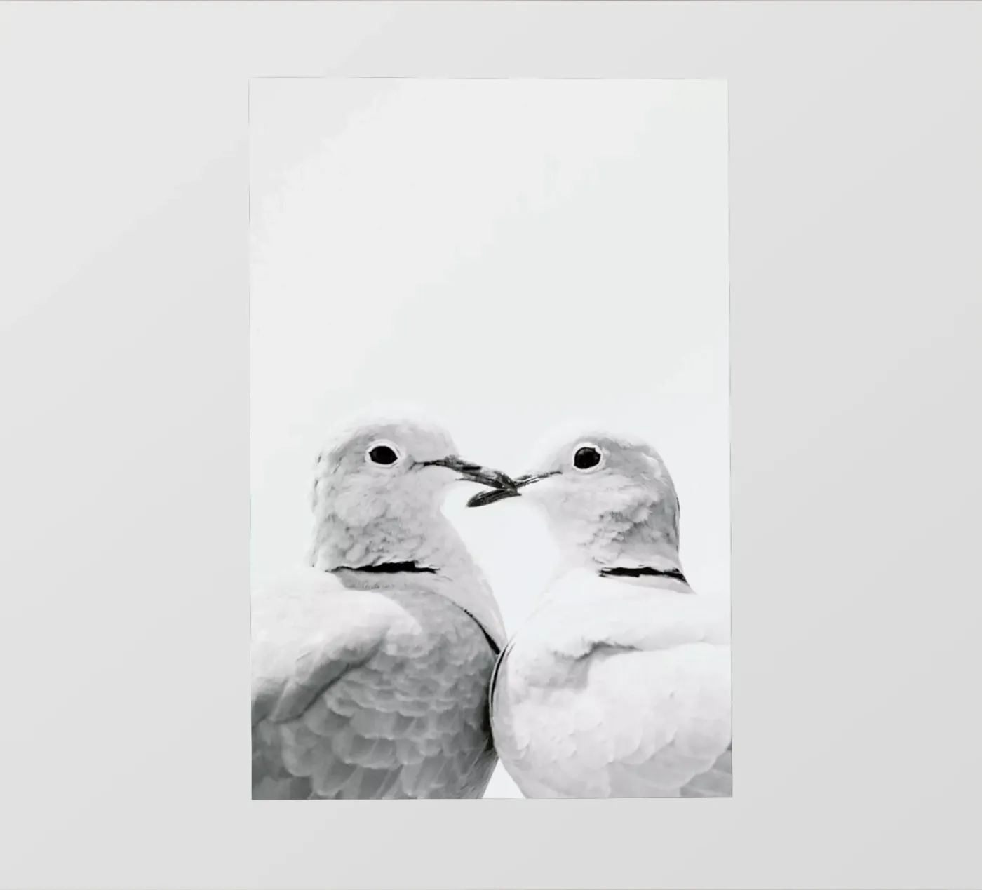 Lovers pellicola backlit da Victoria Frost