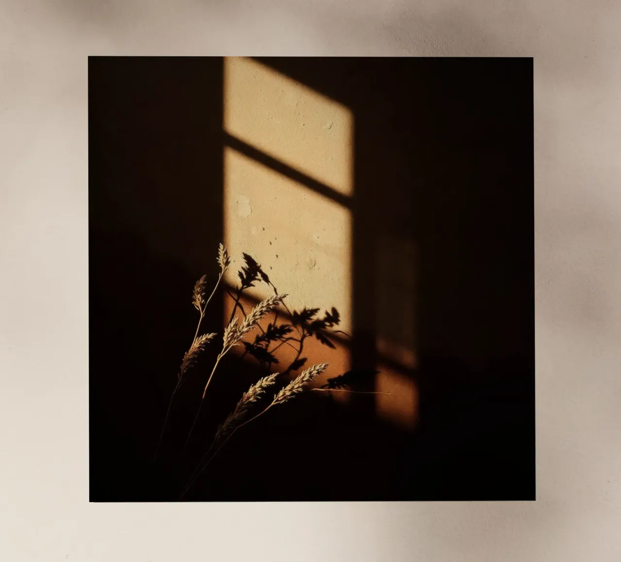 La calda luce del sole proietta le ombre delle piante secche pellicola backlit da DesignDoodle