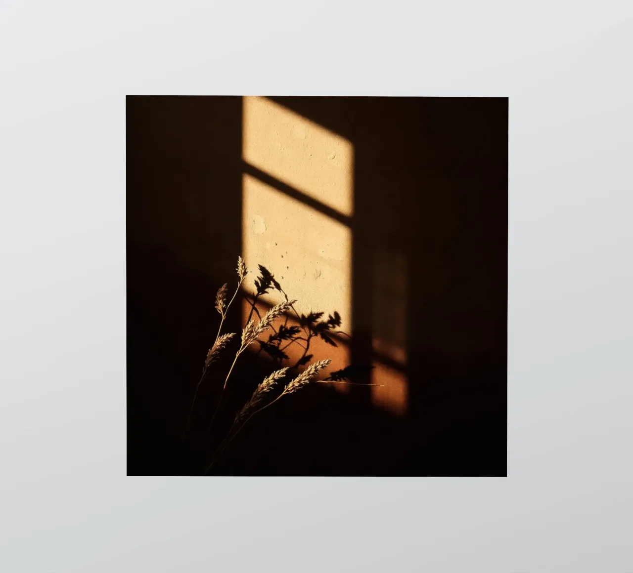 Warm sunlight casts shadows of dried plants sticker by DesignDoodle