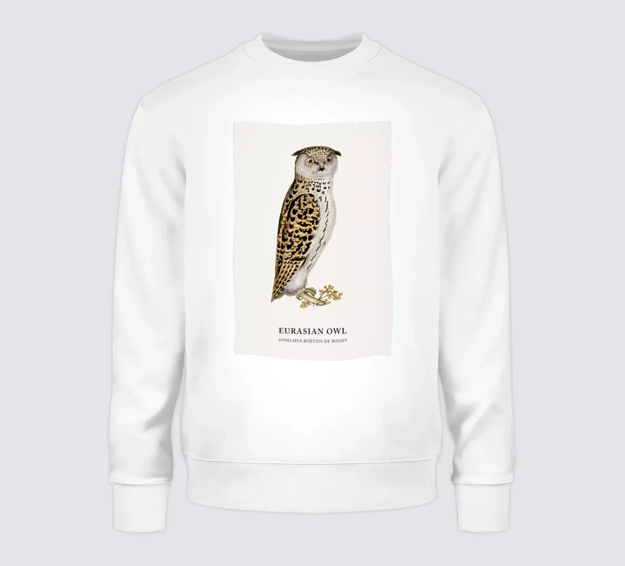 Anselmus Boëtius de Boodt - Eurasian Owl felpa da Vintage by JUNIQE