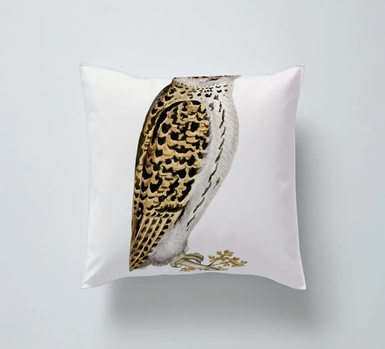 Anselmus Boëtius de Boodt - Eurasian Owl cuscino da Vintage by JUNIQE