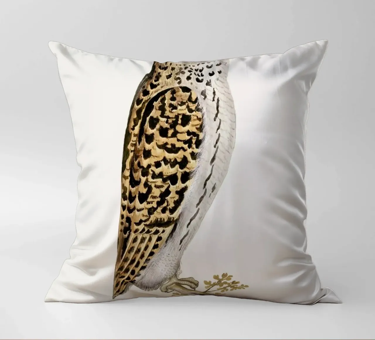 Anselmus Boëtius de Boodt - Eurasian Owl cuscino da Vintage by JUNIQE