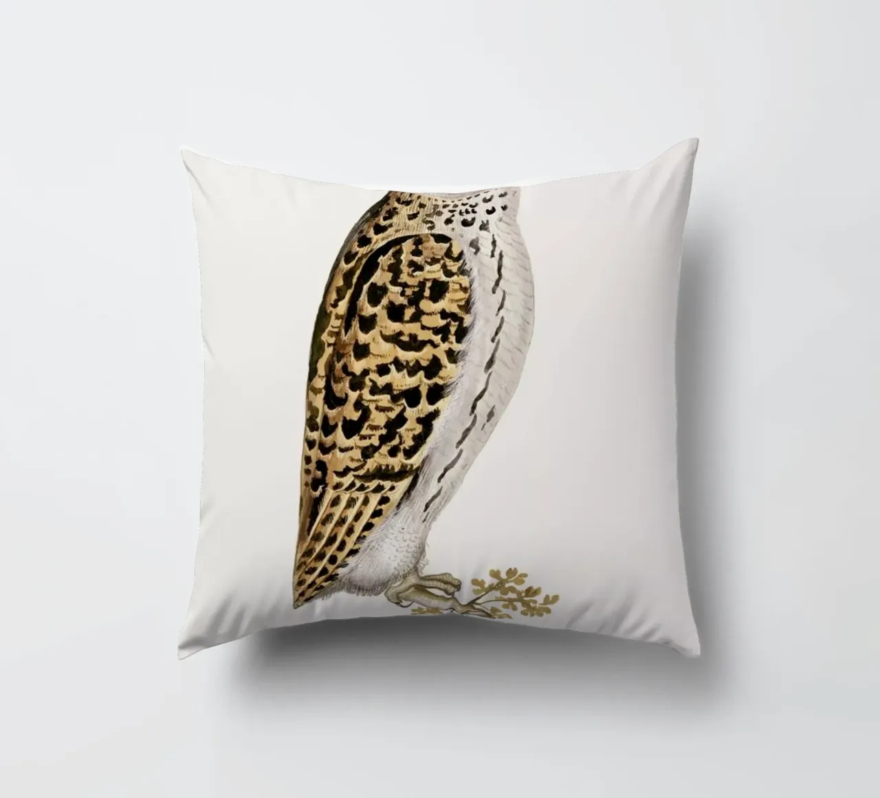 Anselmus Boëtius de Boodt - Eurasian Owl cuscino da Vintage by JUNIQE