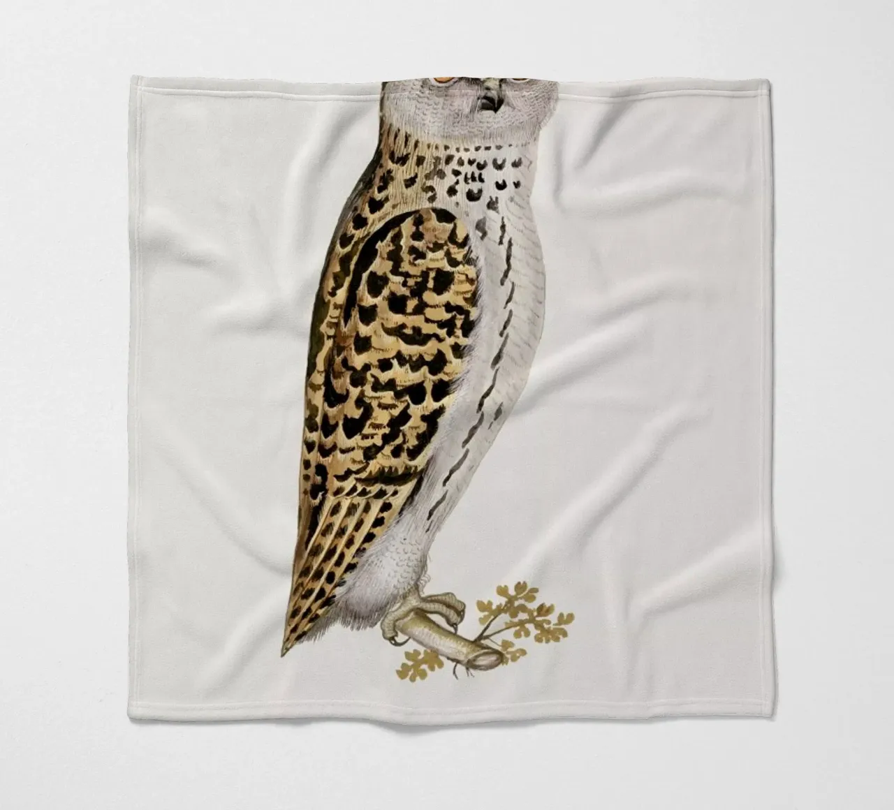 Anselmus Boëtius de Boodt - Eurasian Owl fleece blanket by Vintage by JUNIQE