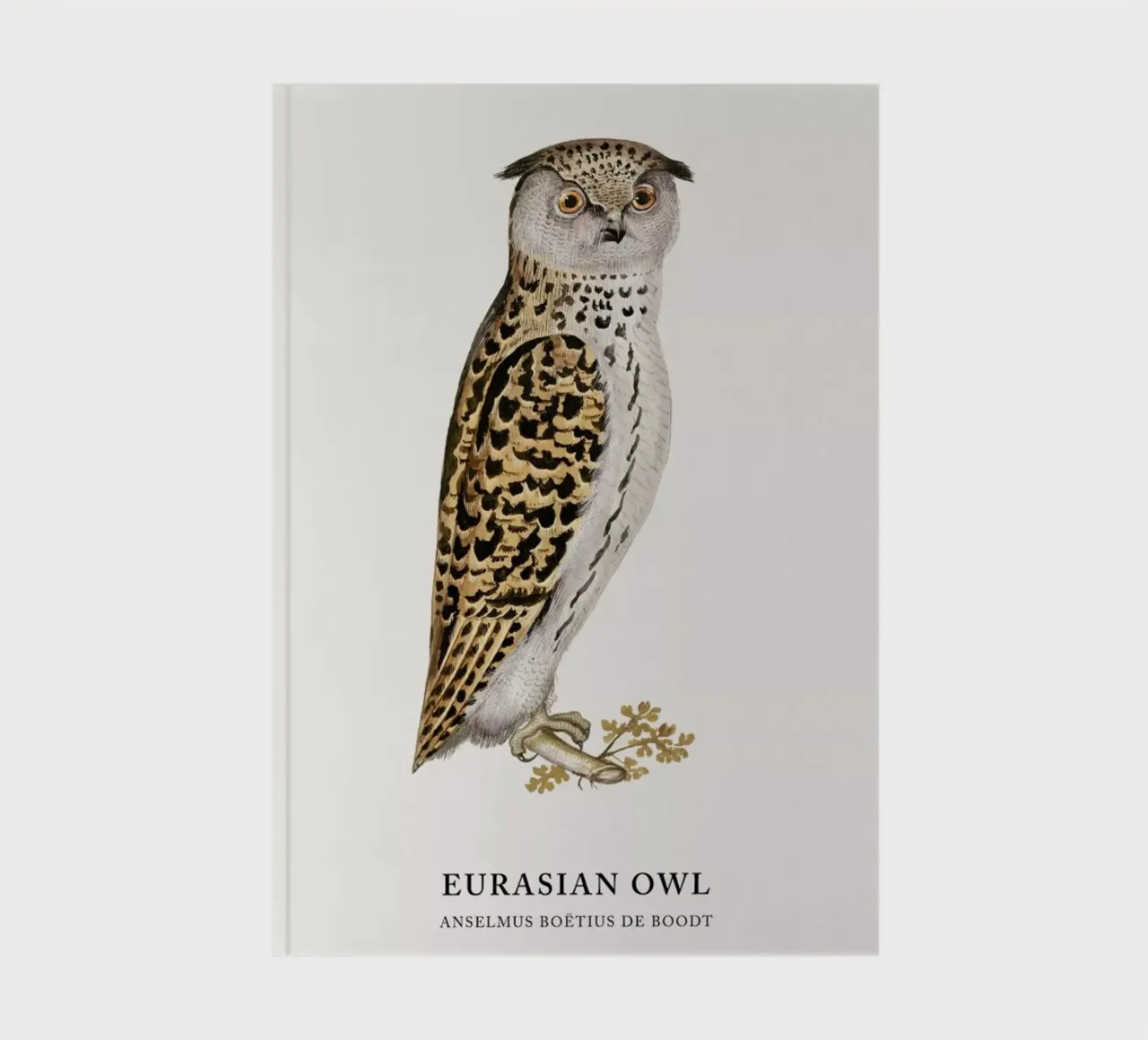 Anselmus Boëtius de Boodt - Eurasian Owl notebook by Vintage by JUNIQE