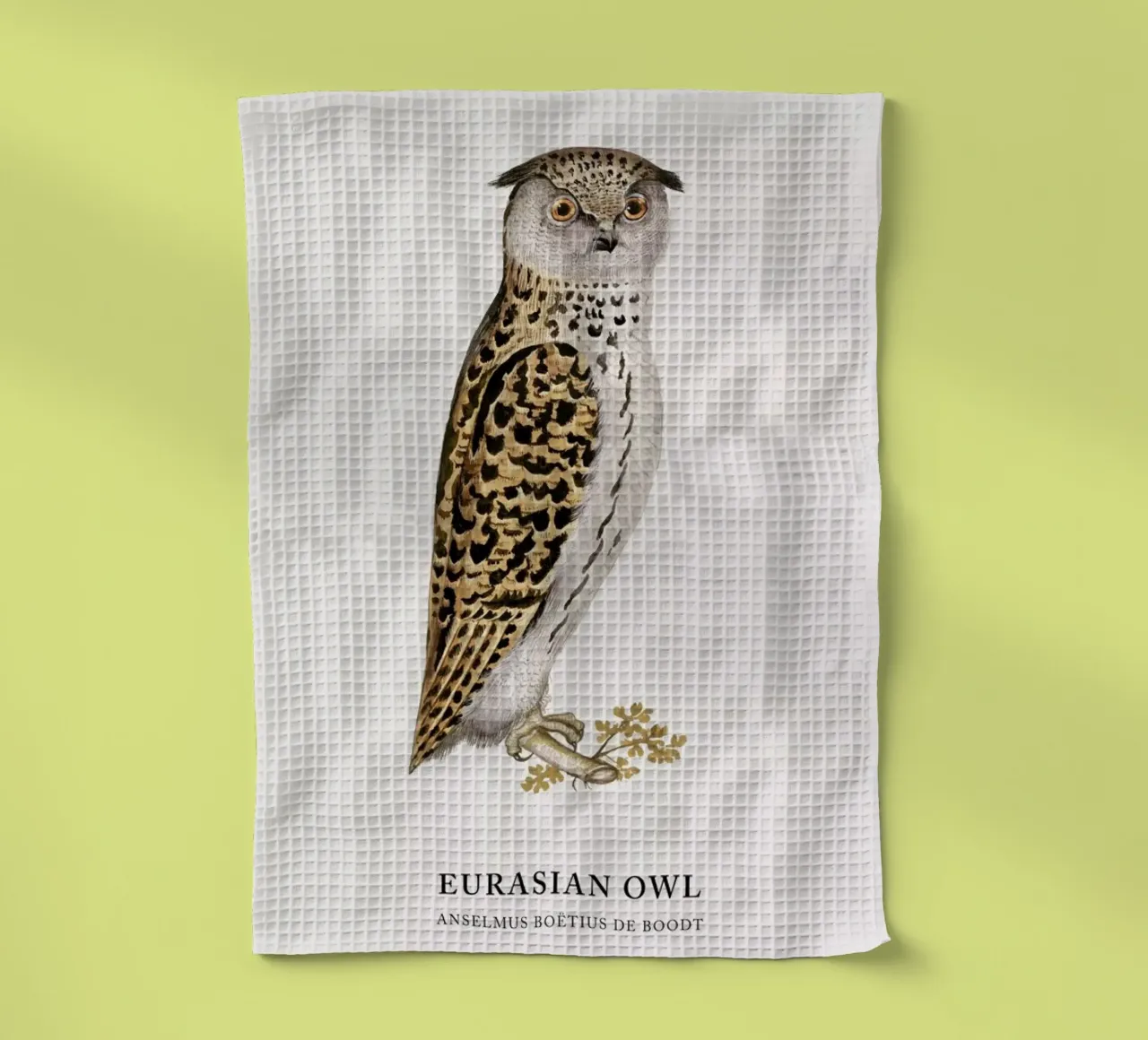 Anselmus Boëtius de Boodt - Eurasian Owl canovaccio da cucina da Vintage by JUNIQE