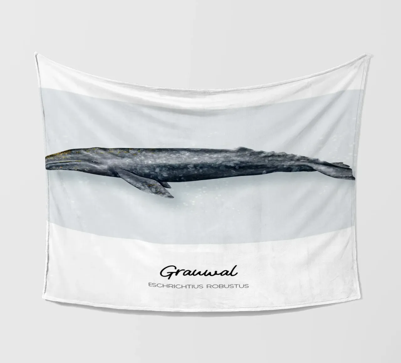 Grauwal - Illustrazione di Wale e Delfine coperta in pile da Moonlit Illustrations