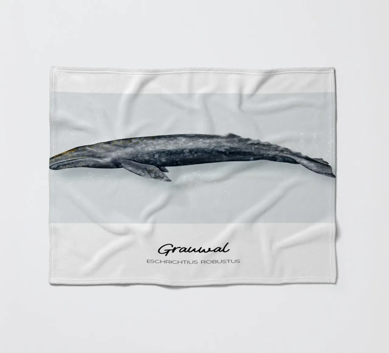 Grauwal - Illustrazione di Wale e Delfine coperta in pile da Moonlit Illustrations