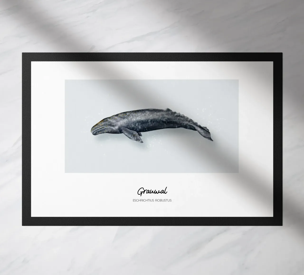 Grauwal - Illustrazione di Wale e Delfine zerbino da Moonlit Illustrations