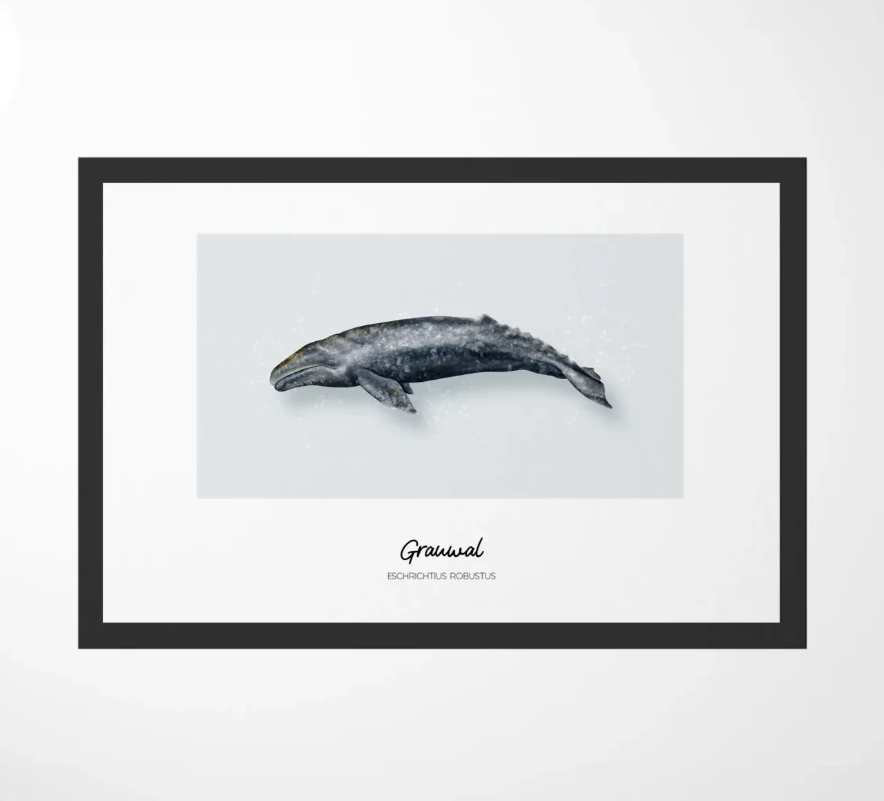 Grauwal - Illustrazione di Wale e Delfine zerbino da Moonlit Illustrations