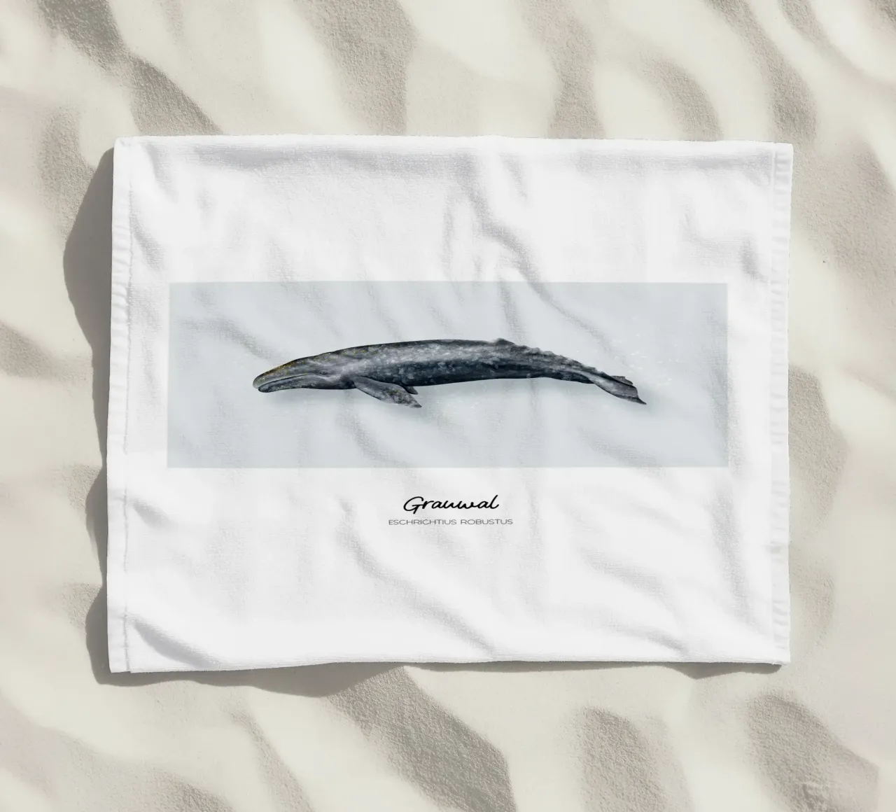 Grauwal - Illustrazione di Wale e Delfine telo mare da Moonlit Illustrations