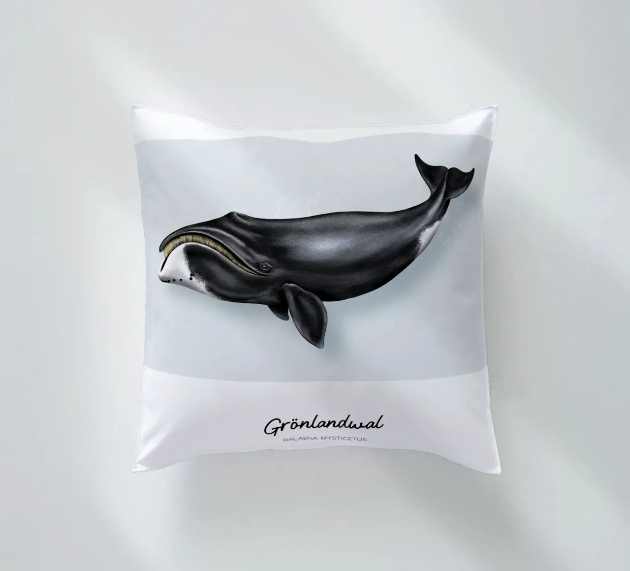 Balena Bowhead - Illustrazione di balene e delfini cuscino da Moonlit Illustrations