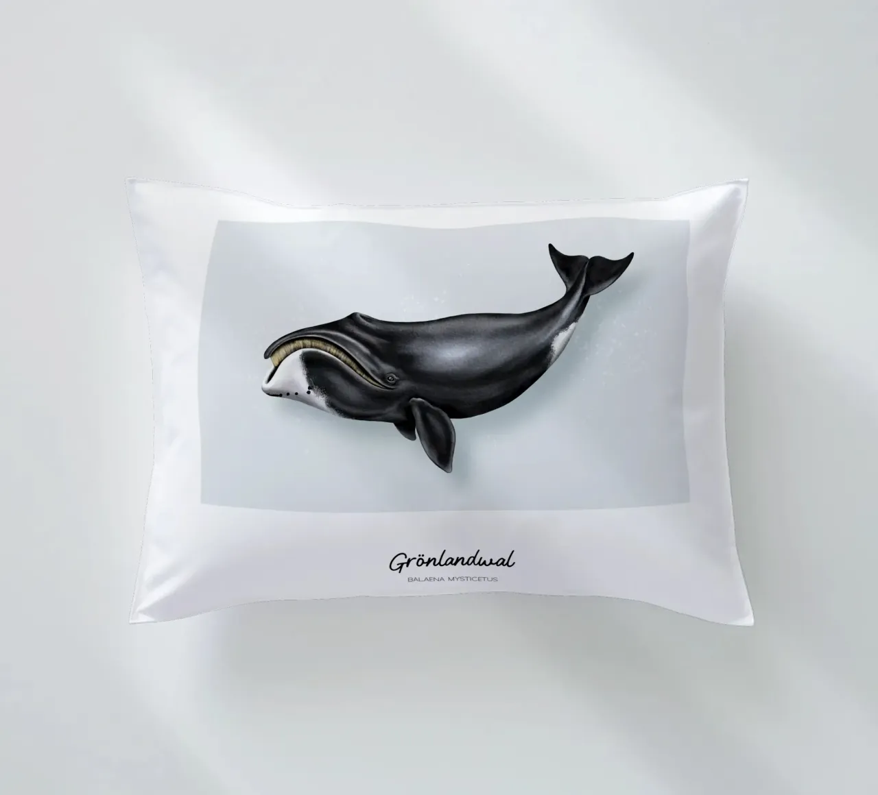 Balena Bowhead - Illustrazione di balene e delfini cuscino da Moonlit Illustrations