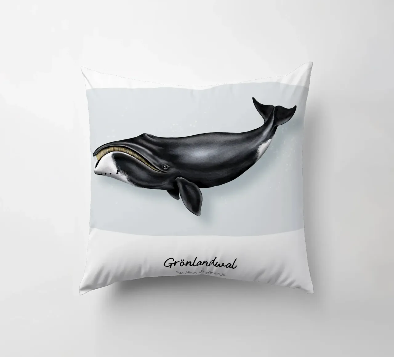 Balena Bowhead - Illustrazione di balene e delfini cuscino da Moonlit Illustrations