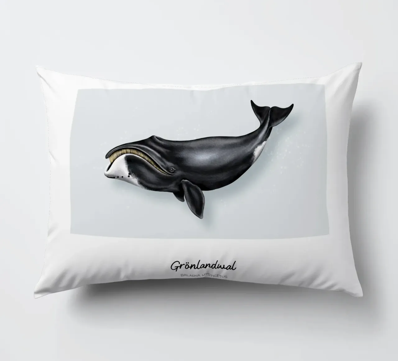 Balena Bowhead - Illustrazione di balene e delfini cuscino da Moonlit Illustrations