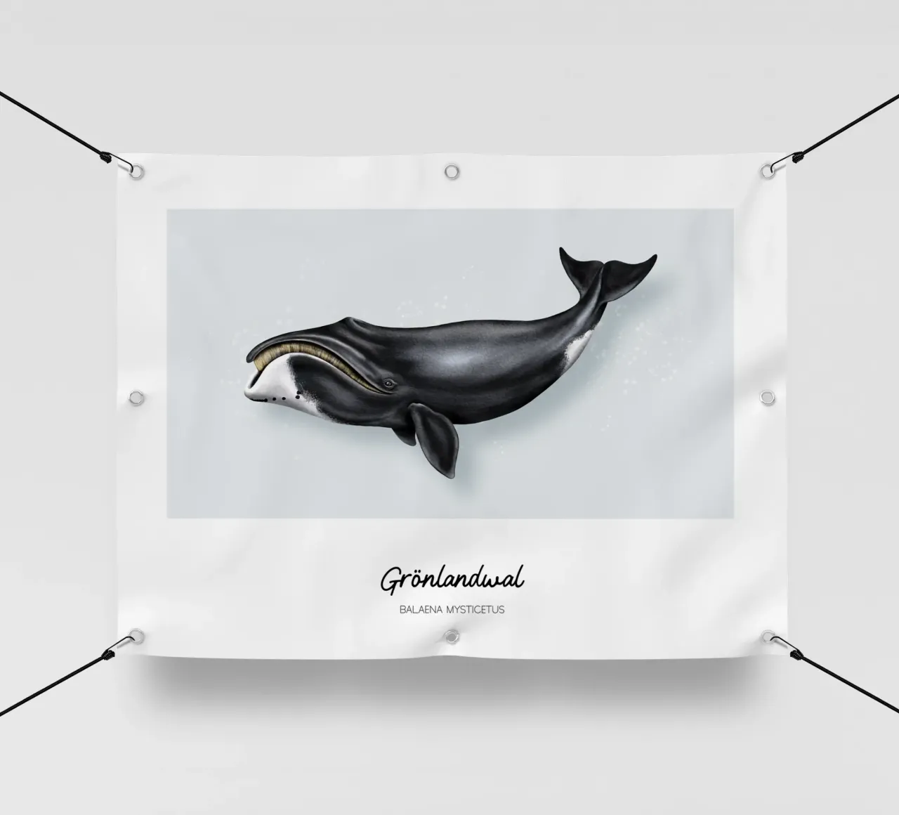 Balena Bowhead - Illustrazione di balene e delfini telo in pvc da Moonlit Illustrations