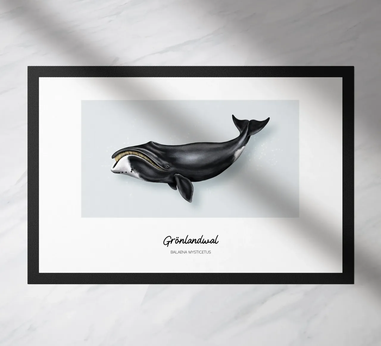 Balena Bowhead - Illustrazione di balene e delfini zerbino da Moonlit Illustrations