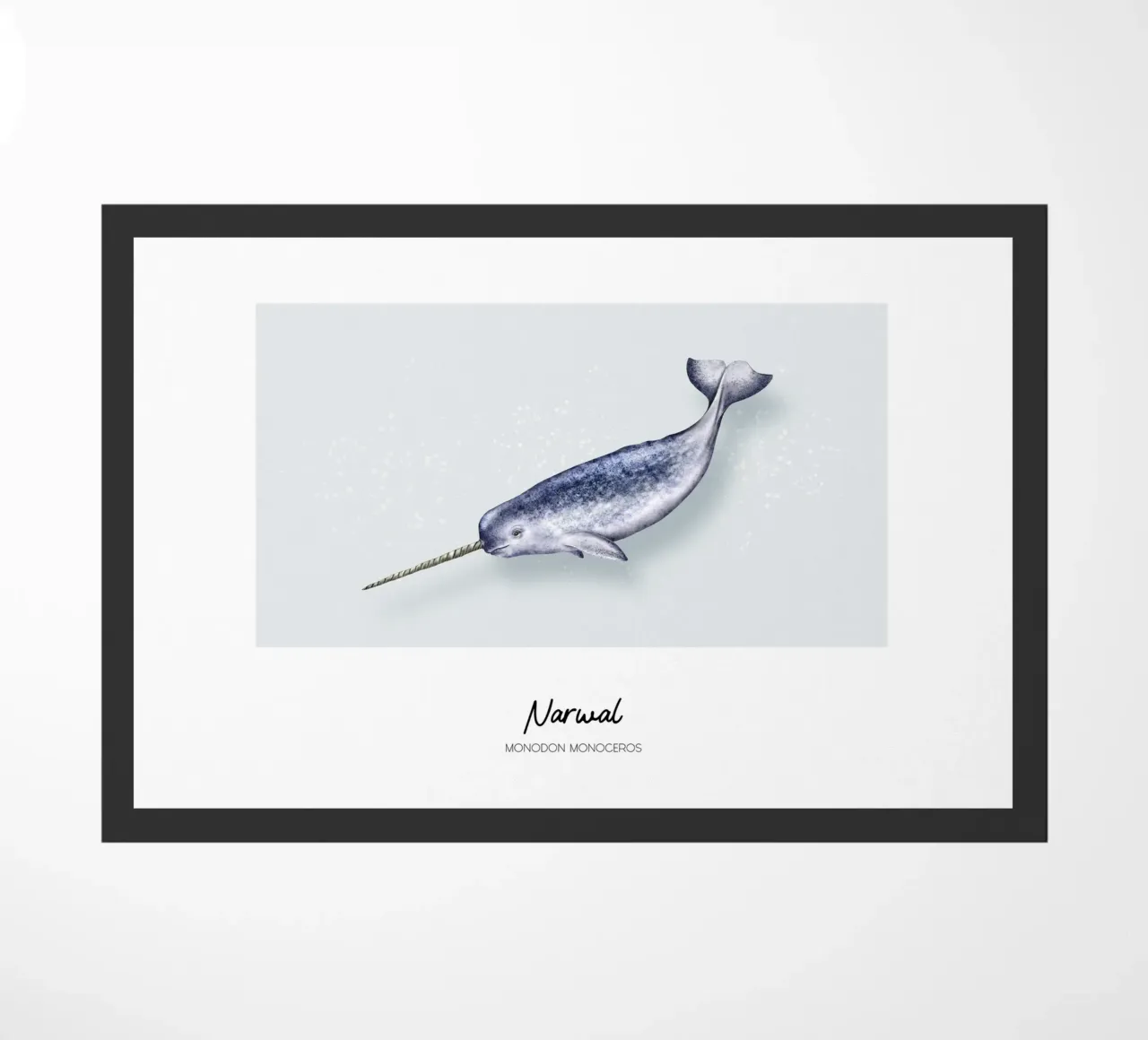 Narvalo - Illustrazione di Wale e Delfine zerbino da Moonlit Illustrations