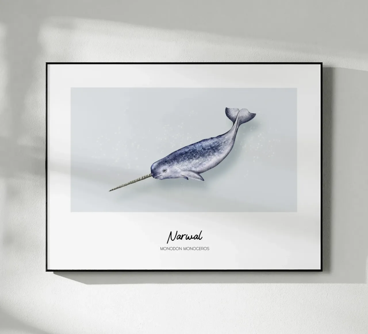 Narval - Ilustración de Wale y Delfine metacrilato de Moonlit Illustrations