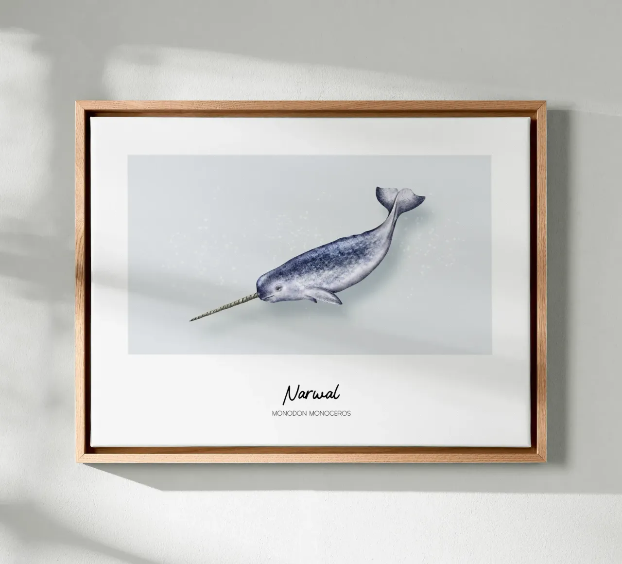 Narwhal - Wale & Delfine Illustration canvas with Floater frame by Moonlit Illustrations