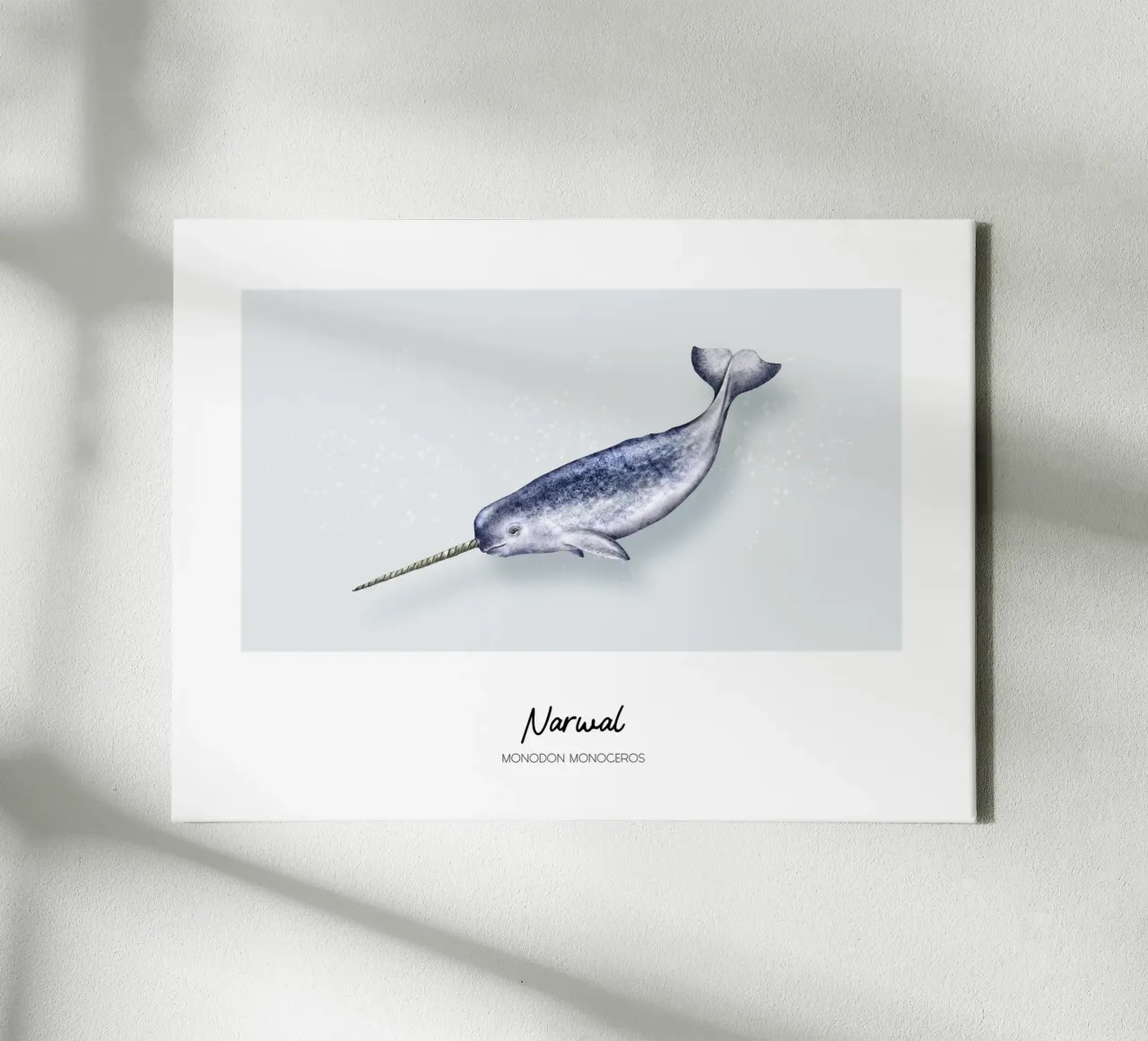Narwhal - Wale & Delfine Illustration canvas with Floater frame by Moonlit Illustrations