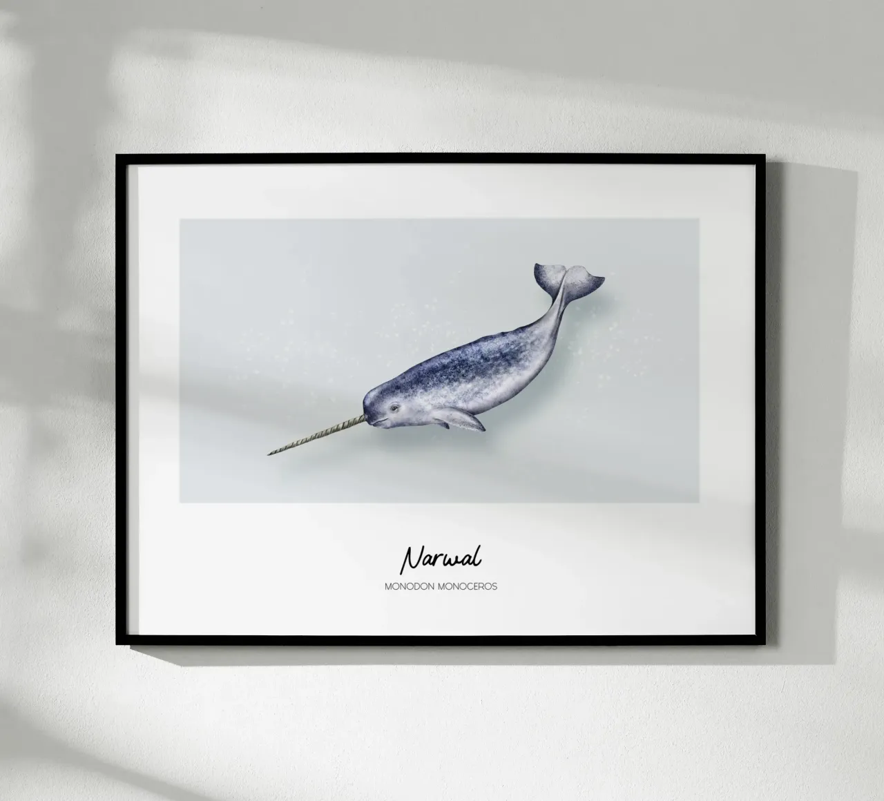 Narvalo - Illustrazione di Wale e Delfine poster da Moonlit Illustrations