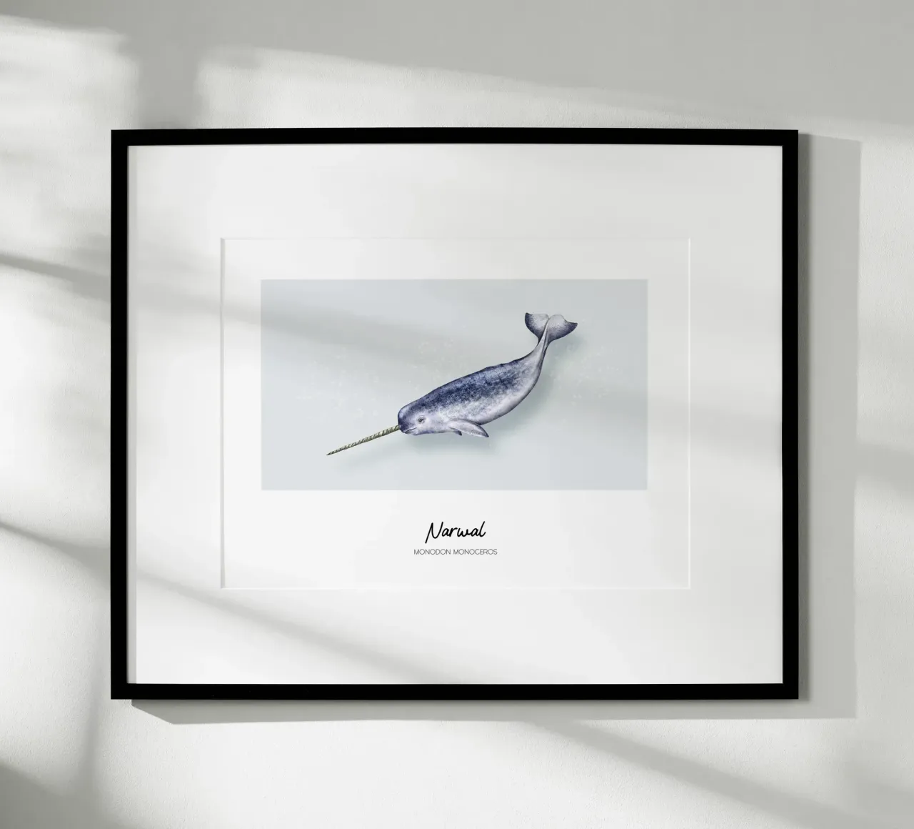 Narvalo - Illustrazione di Wale e Delfine poster da Moonlit Illustrations