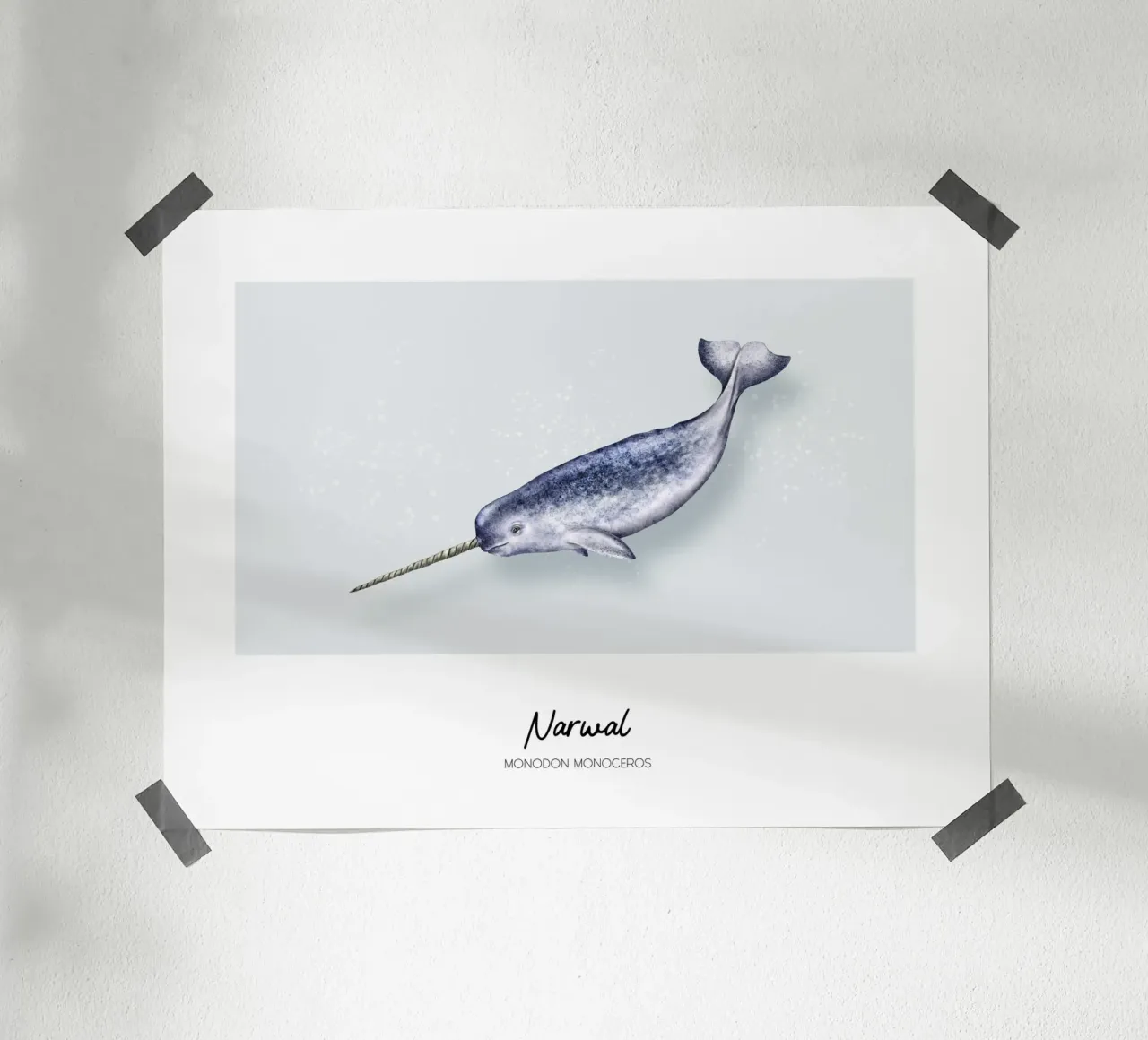 Narvalo - Illustrazione di Wale e Delfine poster da Moonlit Illustrations