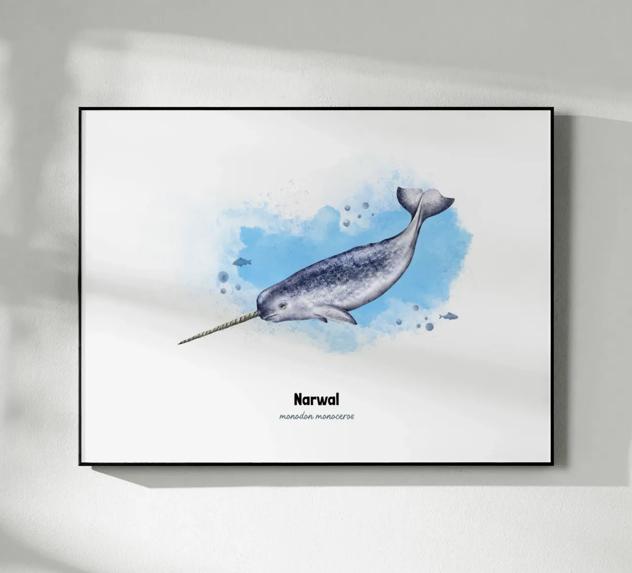 Narvalo - Acquerello plexiglass da Moonlit Illustrations