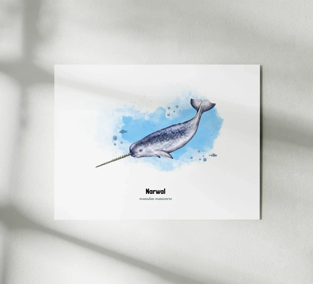 Narvalo - Acquerello plexiglass da Moonlit Illustrations