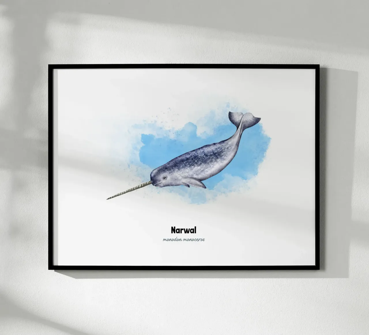 Narwal - Aquarell Poster von Moonlit Illustrations