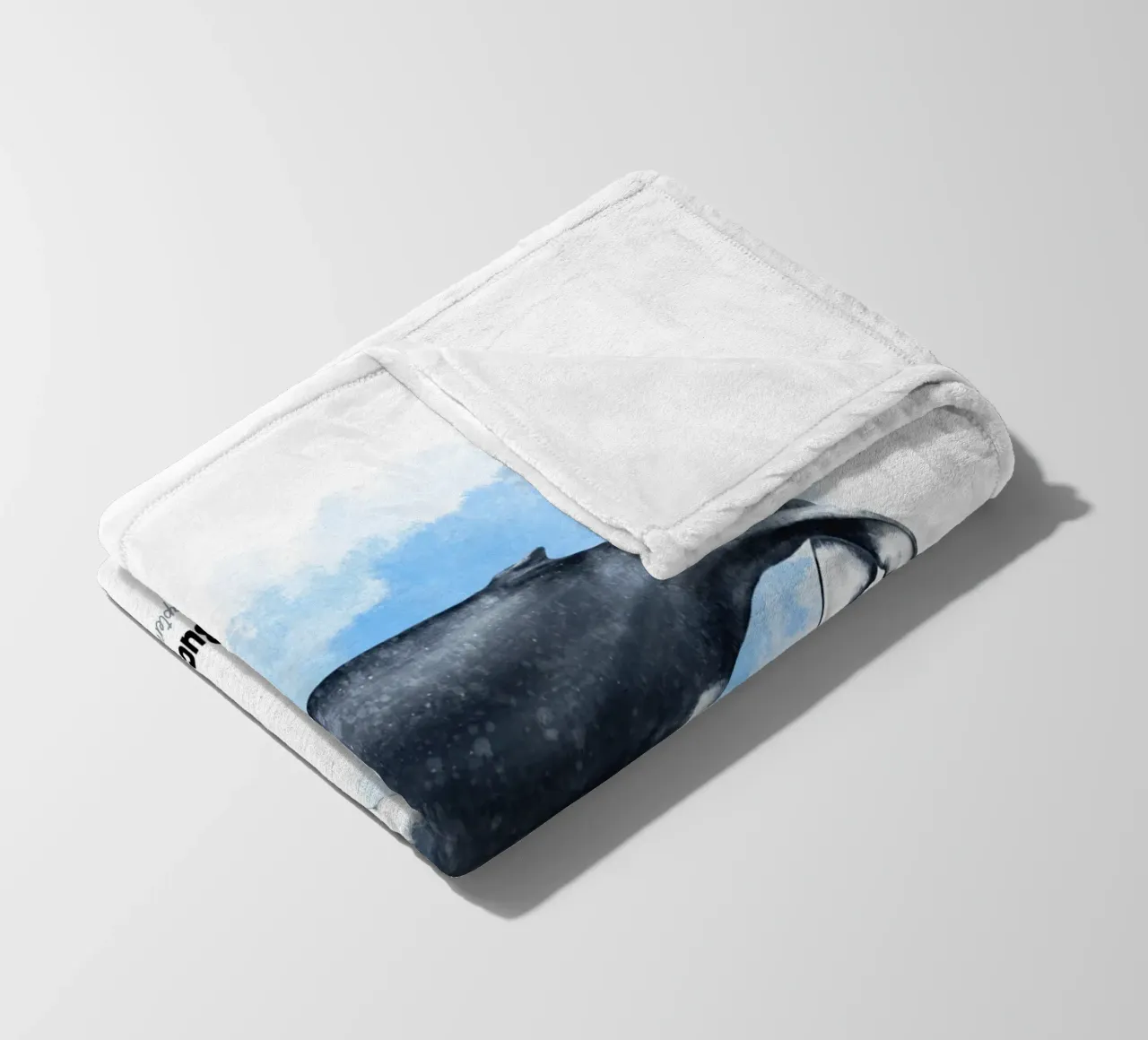 Buckelwal - Acquerello coperta in pile da Moonlit Illustrations