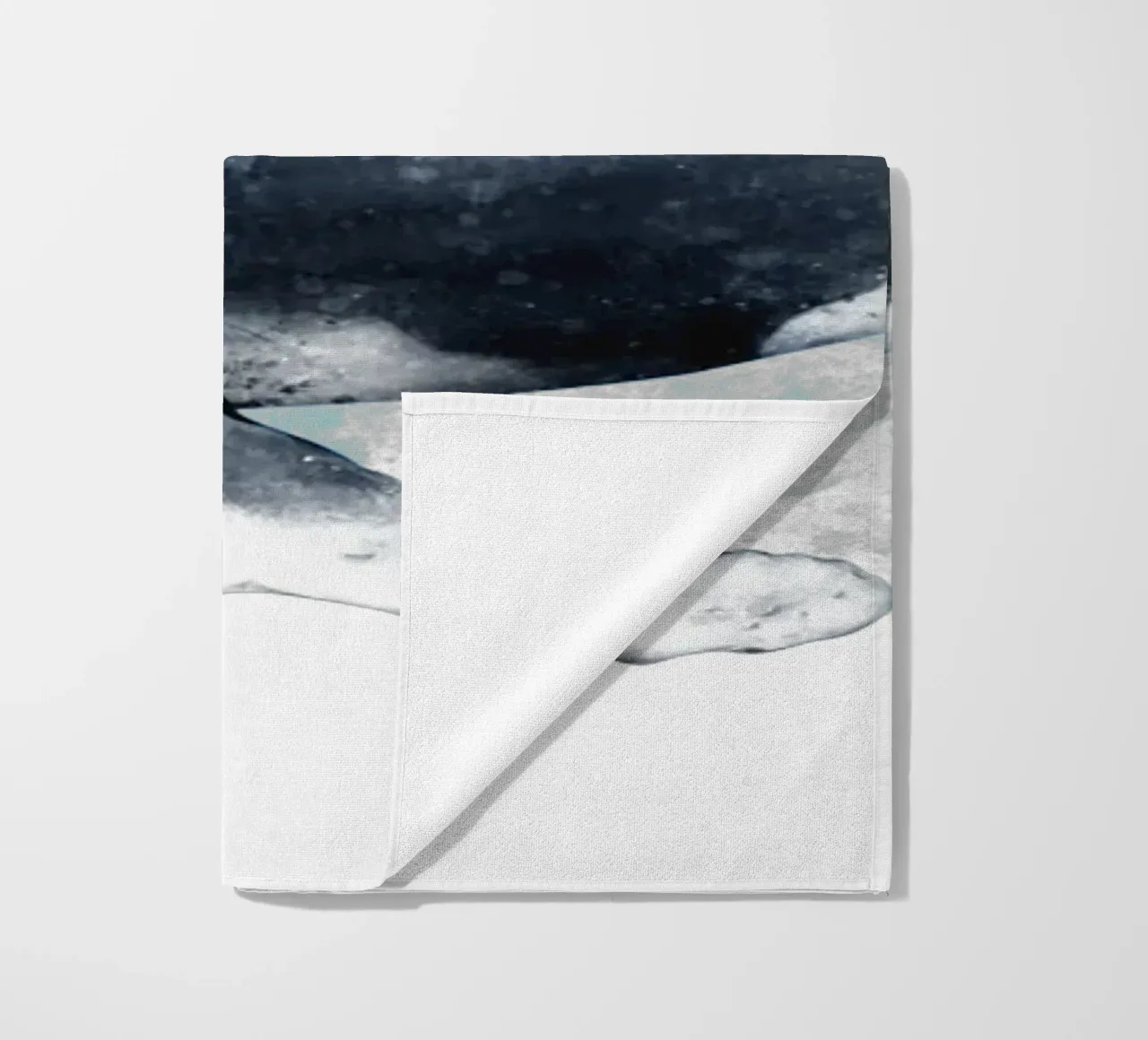 Buckelwal - Acquerello telo mare da Moonlit Illustrations