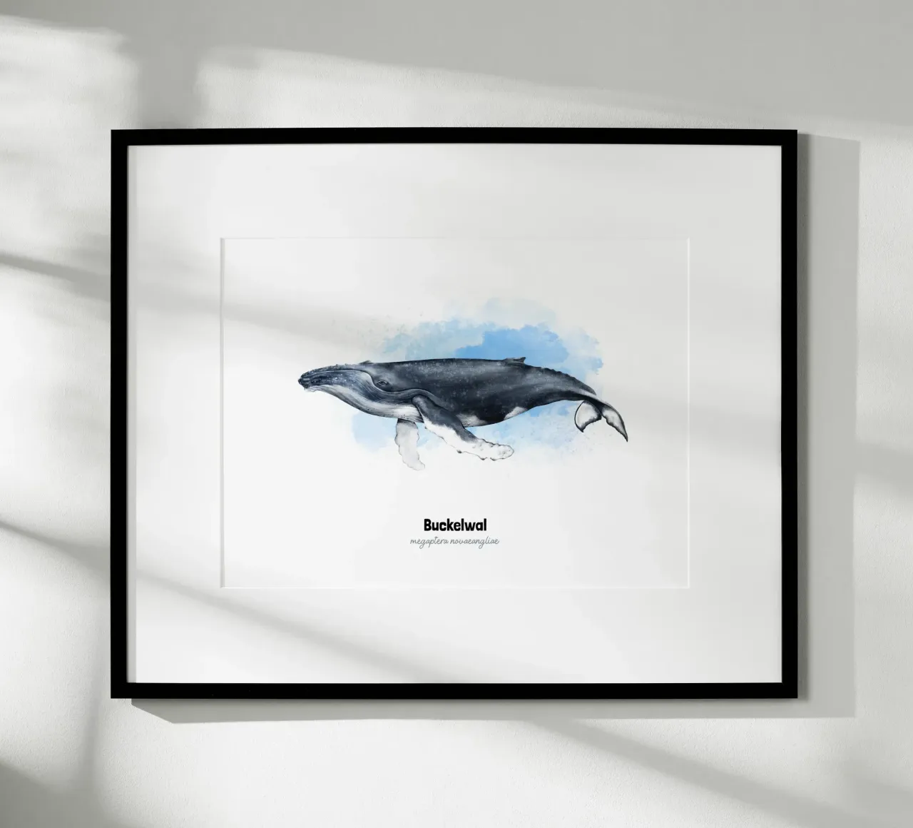 Buckelwal - Acquerello carta hahnemühle da Moonlit Illustrations