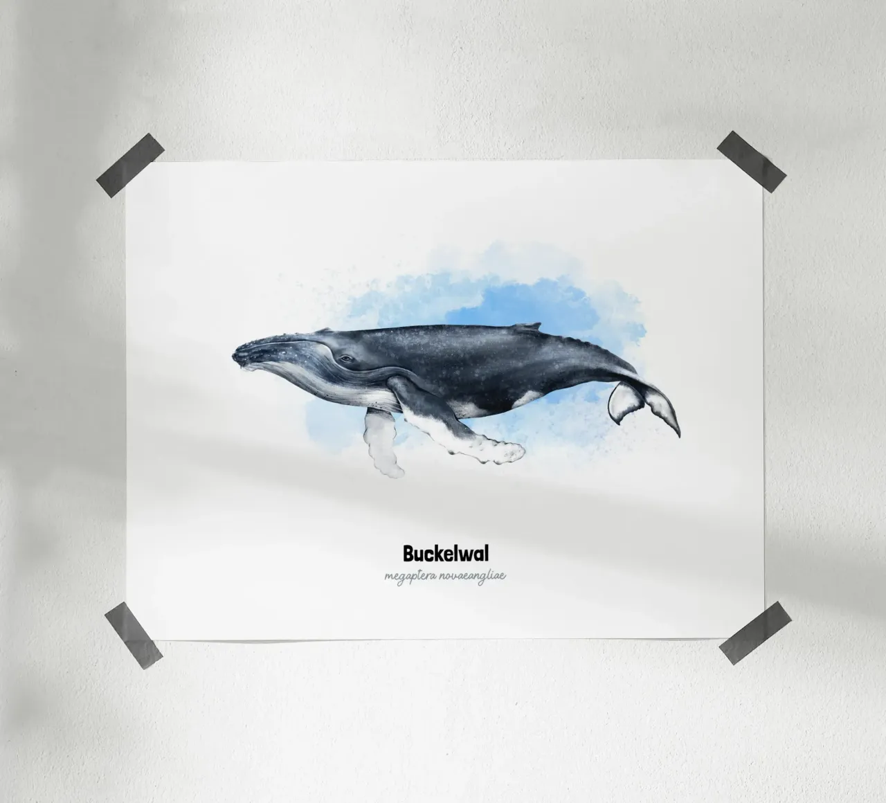 Buckelwal - Acquerello carta hahnemühle da Moonlit Illustrations