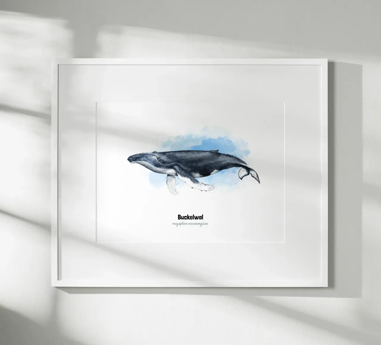 Buckelwal - Acquerello carta hahnemühle da Moonlit Illustrations