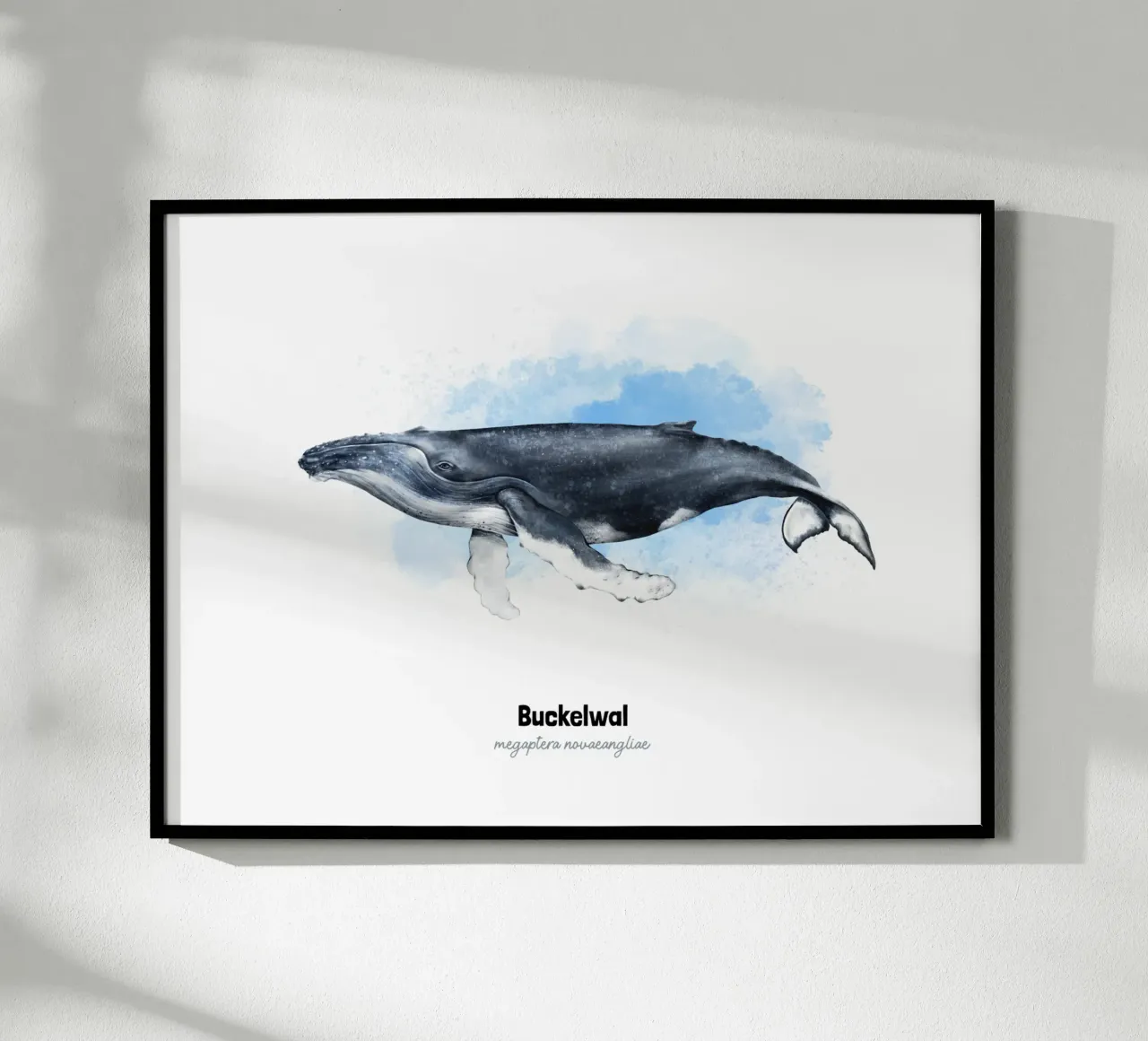 Buckelwal - Acquerello carta hahnemühle da Moonlit Illustrations