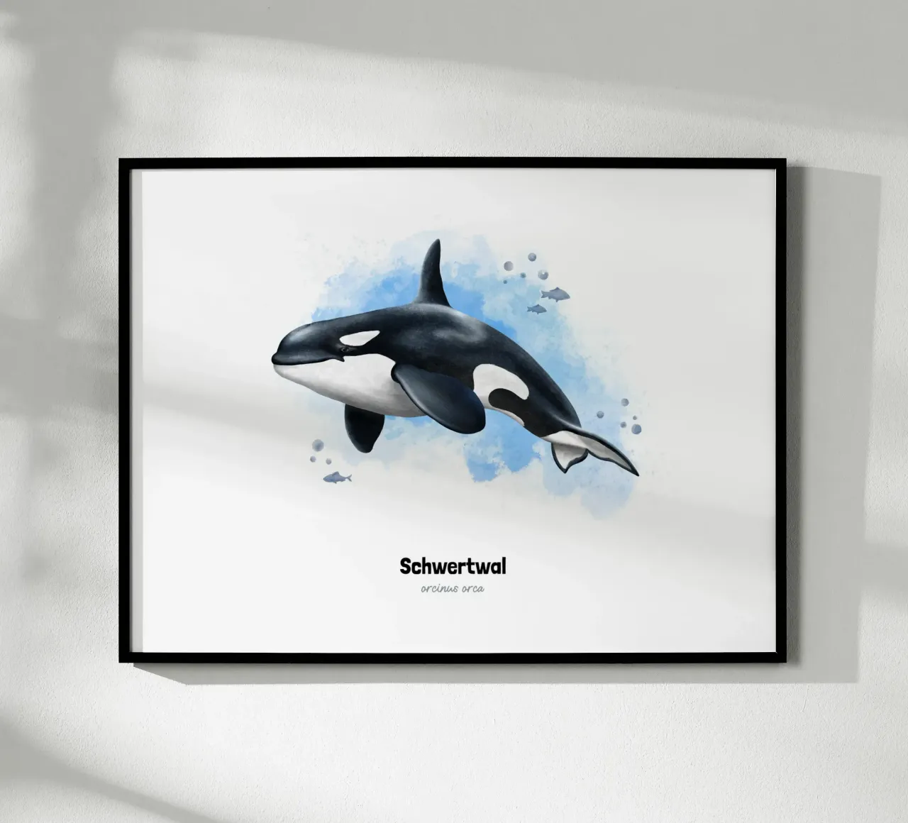 Schwertwal (Orca) - Acquerello poster da Moonlit Illustrations