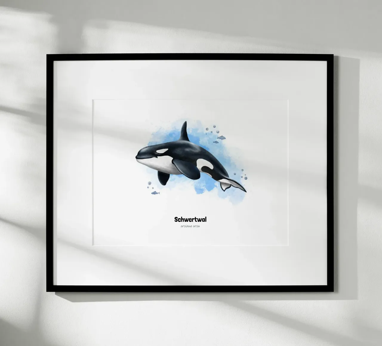 Schwertwal (Orca) - Acquerello poster da Moonlit Illustrations